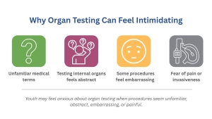 Infographic that illustrates reasons why organ testing can feel intimidating to youth, including: unfamiliar medical terms, testing internal organs feels abstract, some procedures feel embarrassing, and fear of pain or invasiveness.